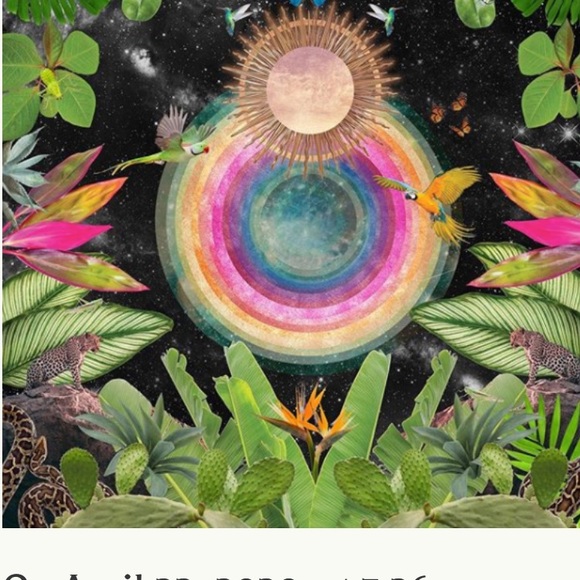 Meet your Posher, Adrienne -Posh Ambassador✨♥️ - Picture 9 of 15